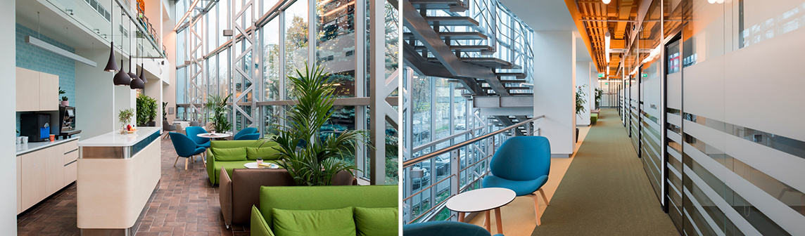 ����w66(�й���)_���������콢