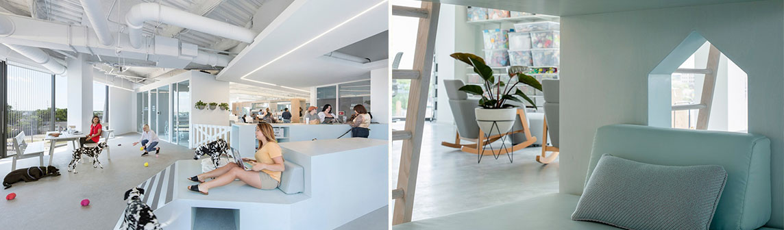 ����w66(�й���)_���������콢