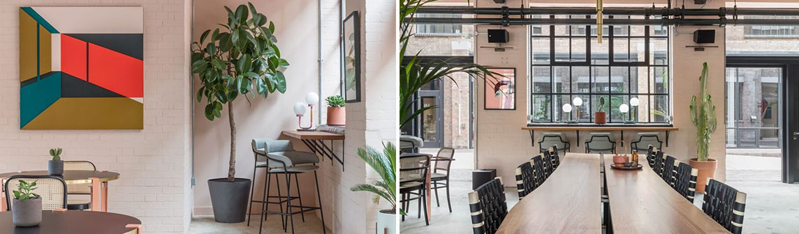 ����w66(�й���)_���������콢