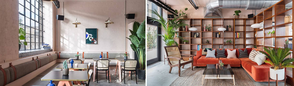 ����w66(�й���)_���������콢