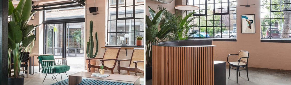 ����w66(�й���)_���������콢