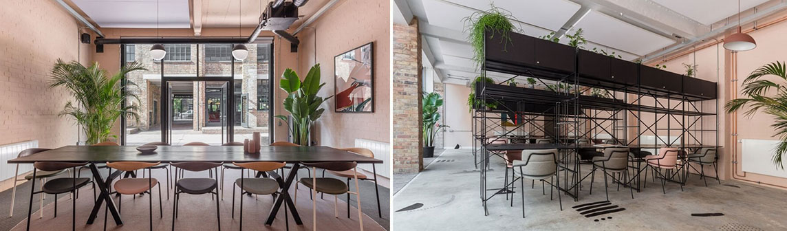 ����w66(�й���)_���������콢