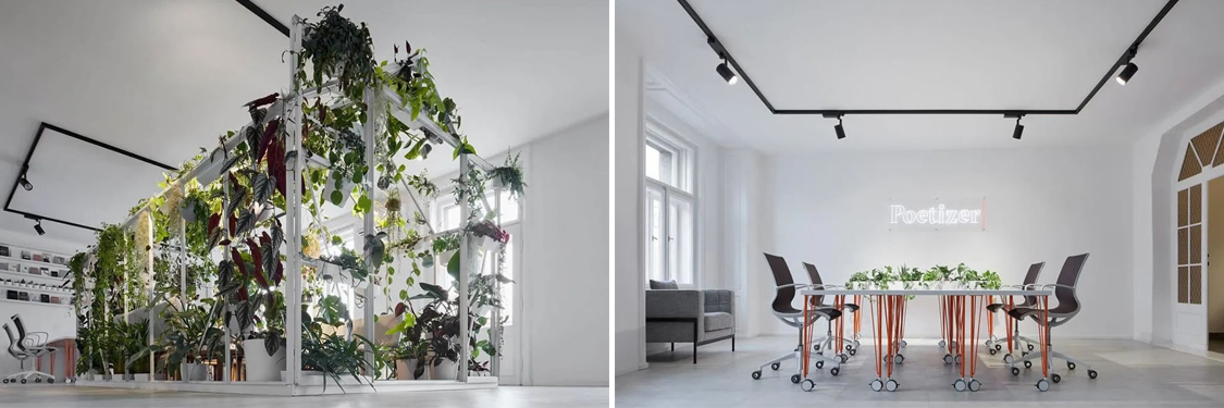 ������������w66�ٷ���վװ����ƹ�˾ͼ��